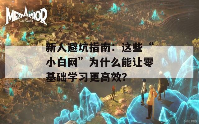 新人避坑指南：这些“小白网”为什么能让零基础学习更高效？