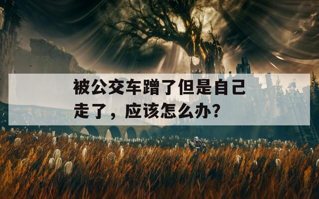 被公交车蹭了但是自己走了，应该怎么办？