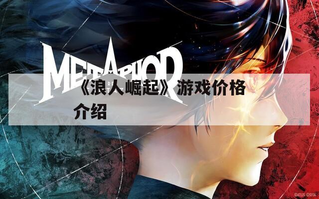 《浪人崛起》游戏价格介绍