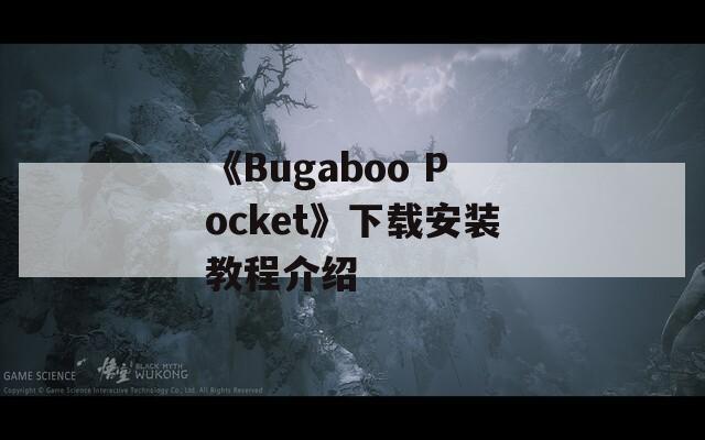 《Bugaboo Pocket》下载安装教程介绍
