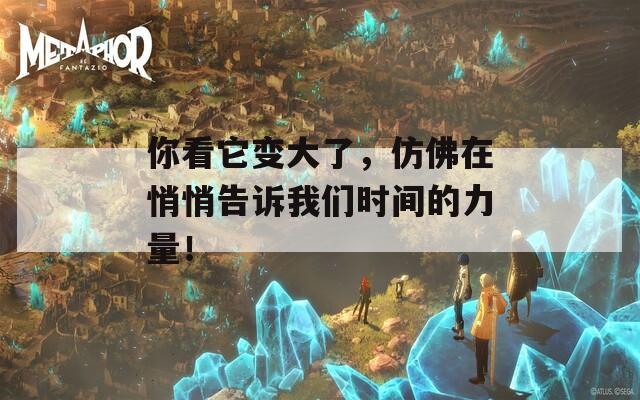 你看它变大了，仿佛在悄悄告诉我们时间的力量！