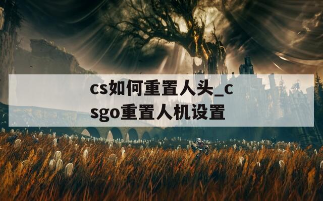 cs如何重置人头_csgo重置人机设置