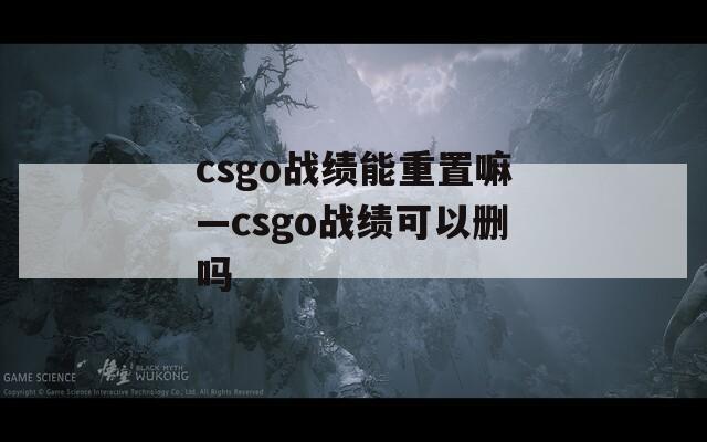 csgo战绩能重置嘛—csgo战绩可以删吗