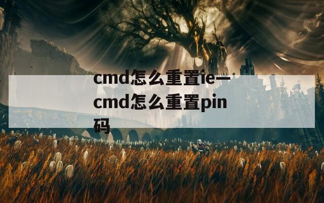 cmd怎么重置ie—cmd怎么重置pin码