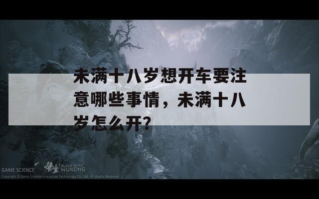 未满十八岁想开车要注意哪些事情，未满十八岁怎么开？