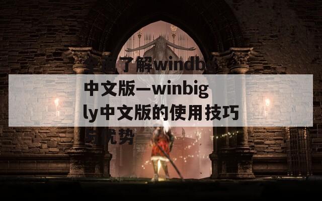 全面了解windbg中文版—winbigly中文版的使用技巧与优势