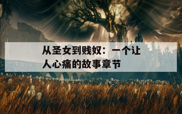 从圣女到贱奴：一个让人心痛的故事章节
