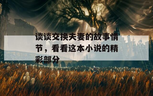谈谈交换夫妻的故事情节，看看这本小说的精彩部分