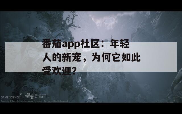 番茄app社区：年轻人的新宠，为何它如此受欢迎？