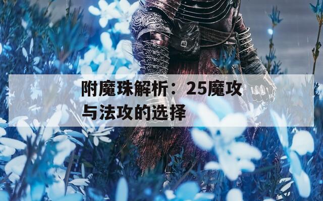 附魔珠解析：25魔攻与法攻的选择