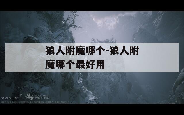 狼人附魔哪个-狼人附魔哪个最好用