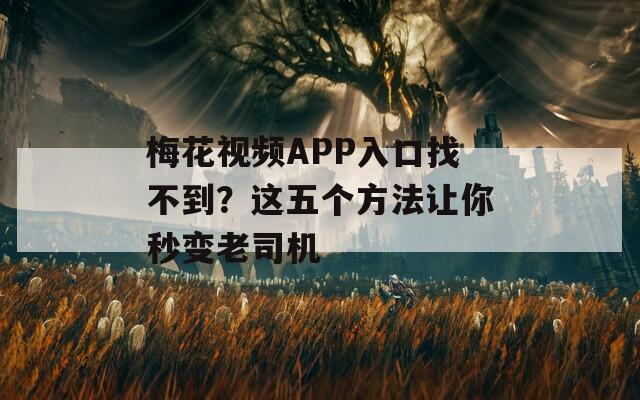 梅花视频APP入口找不到？这五个方法让你秒变老司机