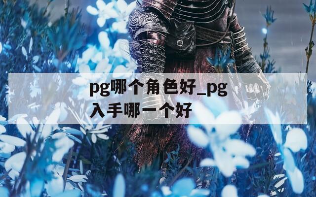 pg哪个角色好_pg入手哪一个好
